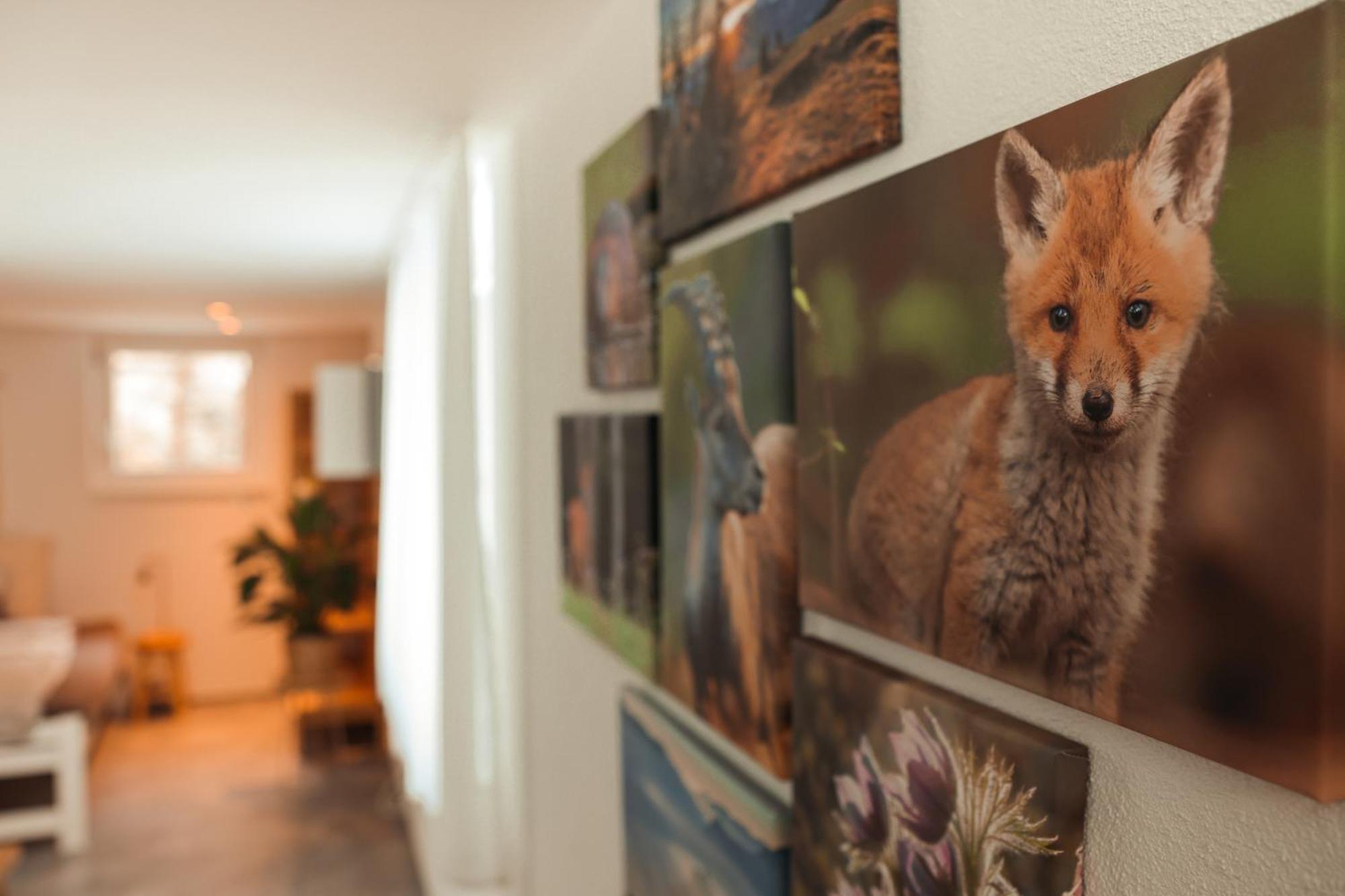 Haus Meierhuesli Malans Exteriér fotografie